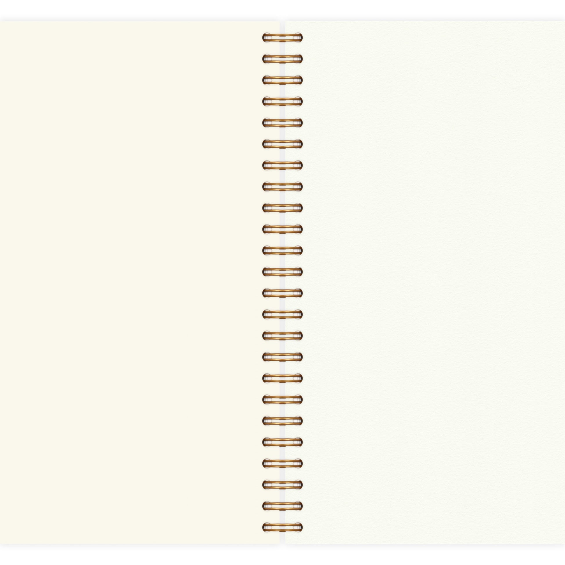 Picture of Notebook
