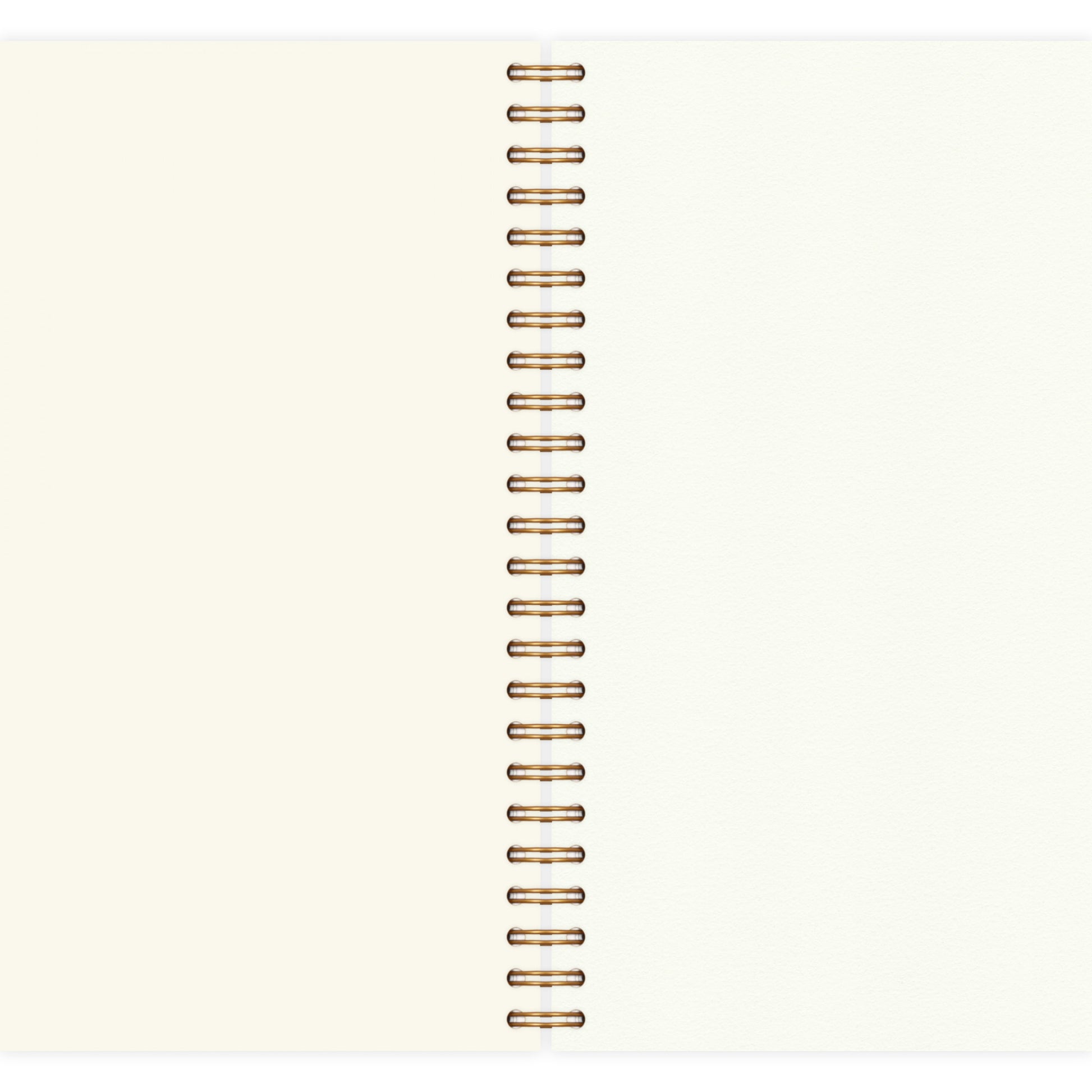 Picture of Notebook